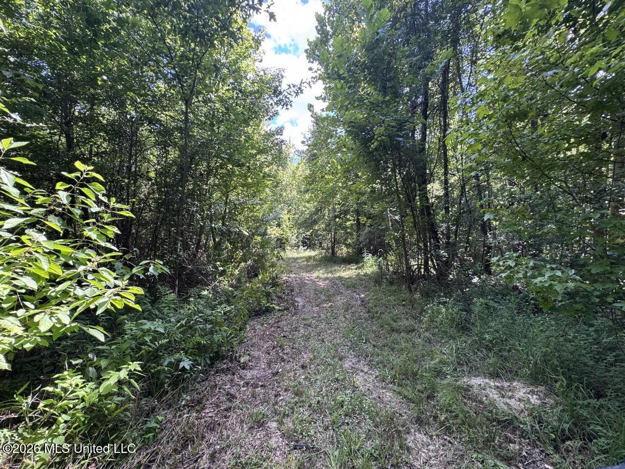 Pam Road Aimwell, LA 71401 - Photo 23 of 38 IMG_3862 Large