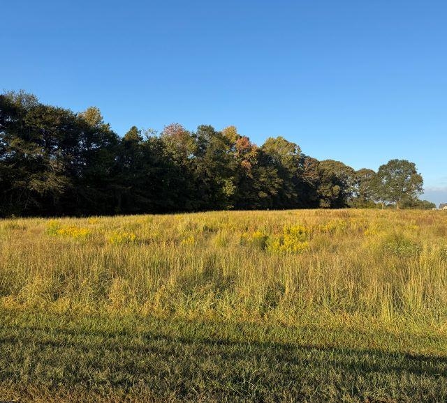 1101 North Green River Road Gaffney, SC 29341 - Photo 2 of 4