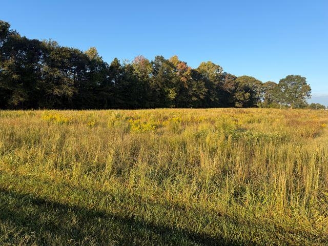 1101 North Green River Road Gaffney, SC 29341 - Photo 3 of 4