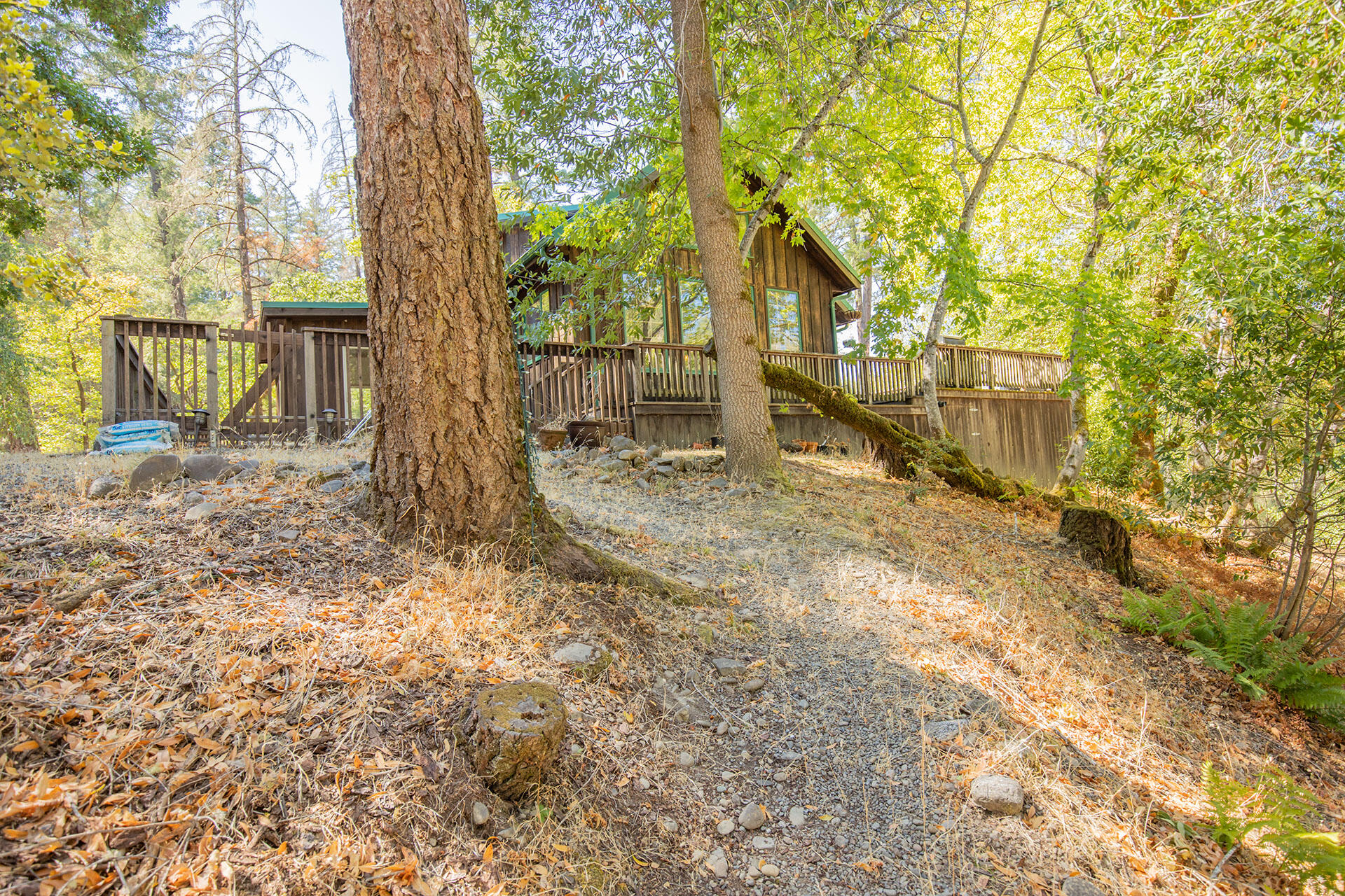 0 Bear Canyon Road Garberville, CA 95542 - Photo 63 of 107 SW__9693