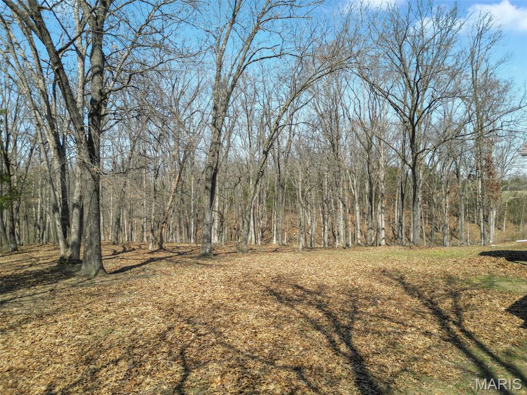 2255 County Farm Road Wright City, MO 63390 - Photo 79 of 95