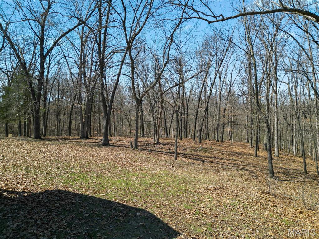 2255 County Farm Road Wright City, MO 63390 - Photo 83 of 95