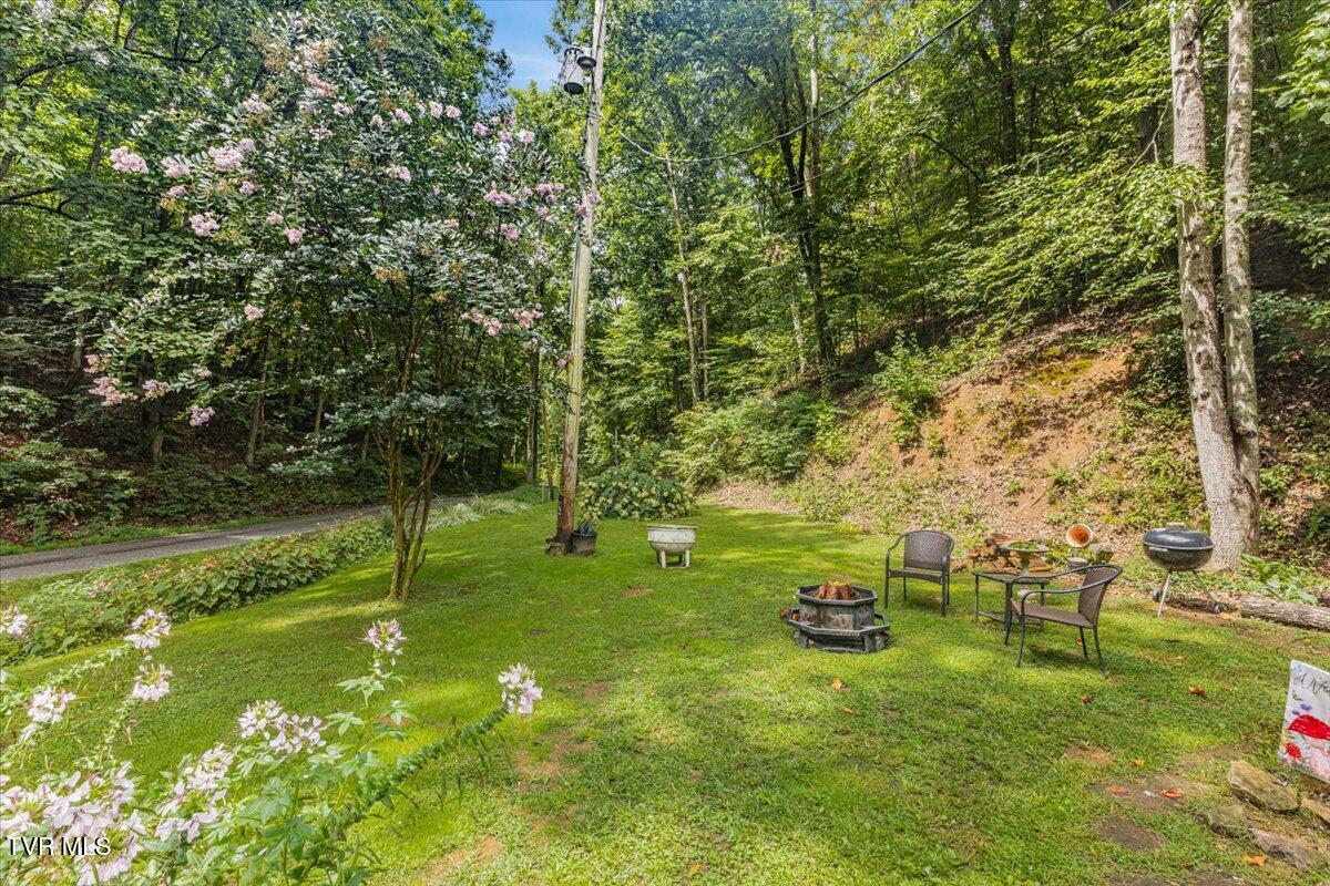 415 Stone Mountain Road Bulls Gap, TN 37711 - Photo 3 of 40 05-128A4615