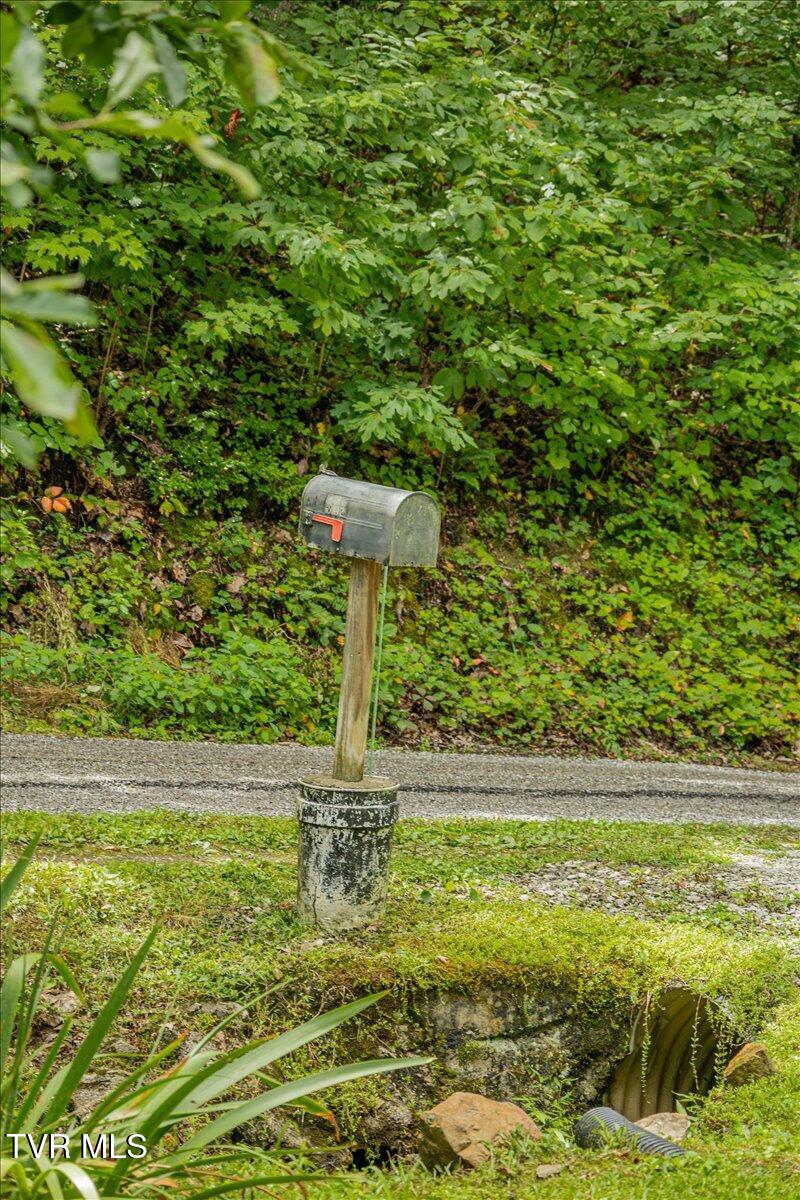415 Stone Mountain Road Bulls Gap, TN 37711 - Photo 32 of 40 34-128A4700