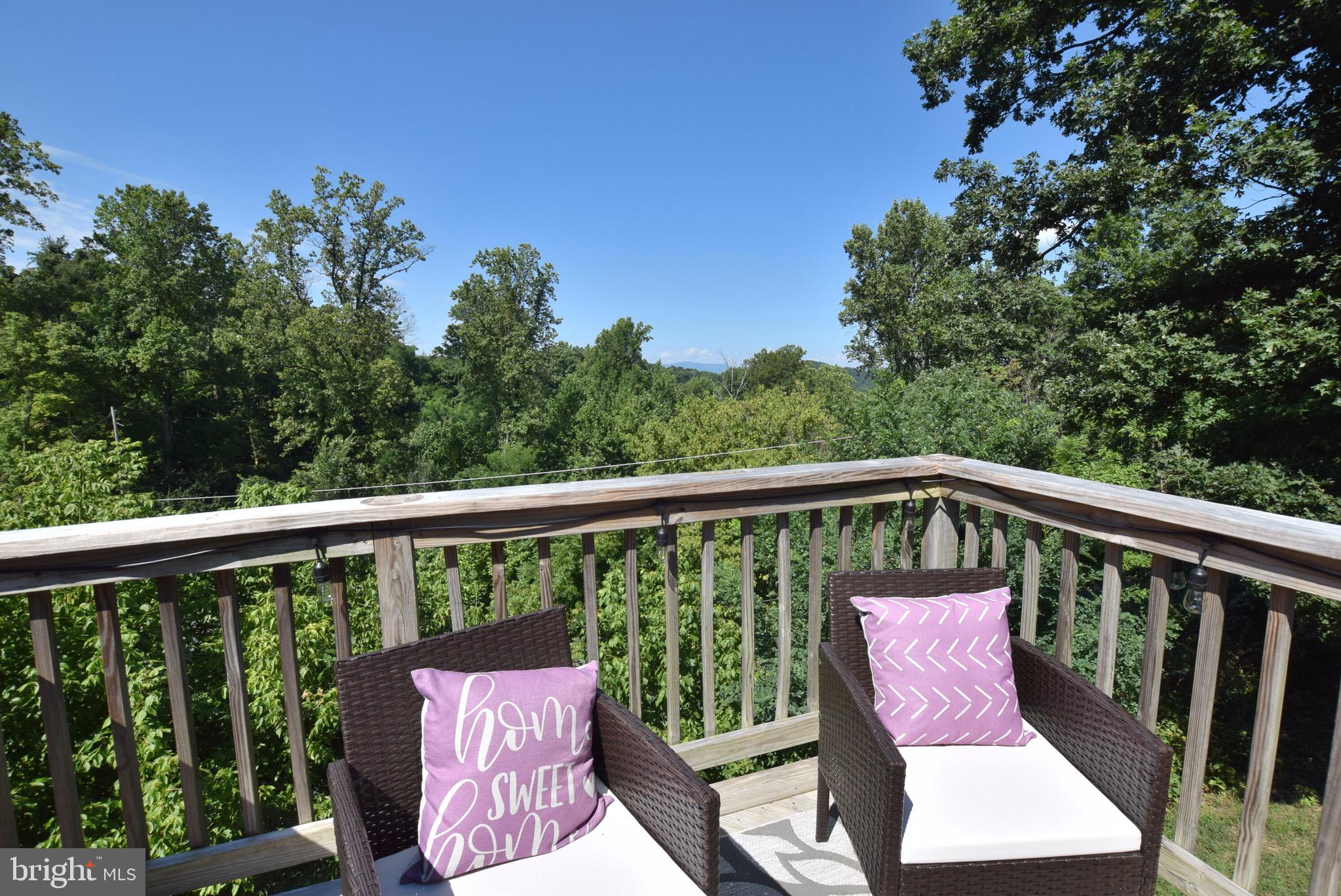 499 Wealthy Road Linden, VA 22642 - Photo 13 of 15 Mountain Views!