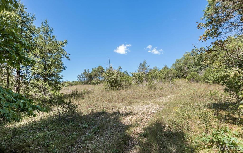 43 Acres /- Ridge Road Dittmer, MO 63023 - Photo 8 of 13 Gallery Image 8