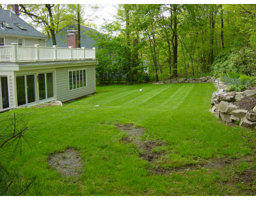 76 Cleveland Road Wellesley, MA 02481 - Photo 13 of 13