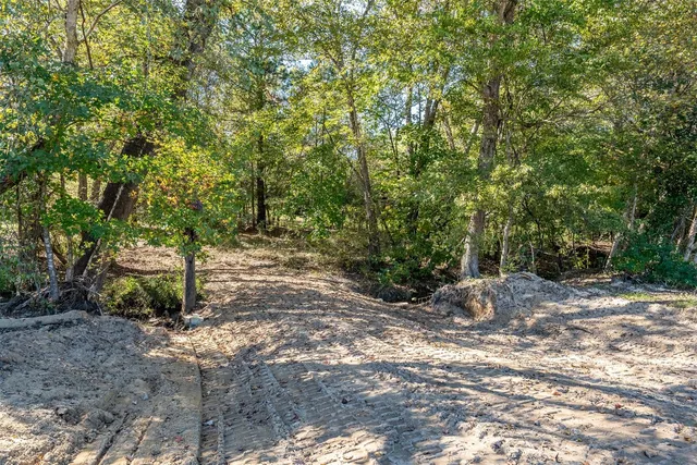 a view of a green field with lots of bushes