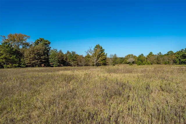 a view of outdoor space and green space