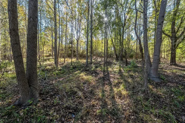 $519,000 | 380 An County Road 370, Palestine, TX 75801