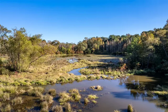 a view of a lake with a mountain