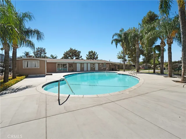 a view of a park with plants and palm trees