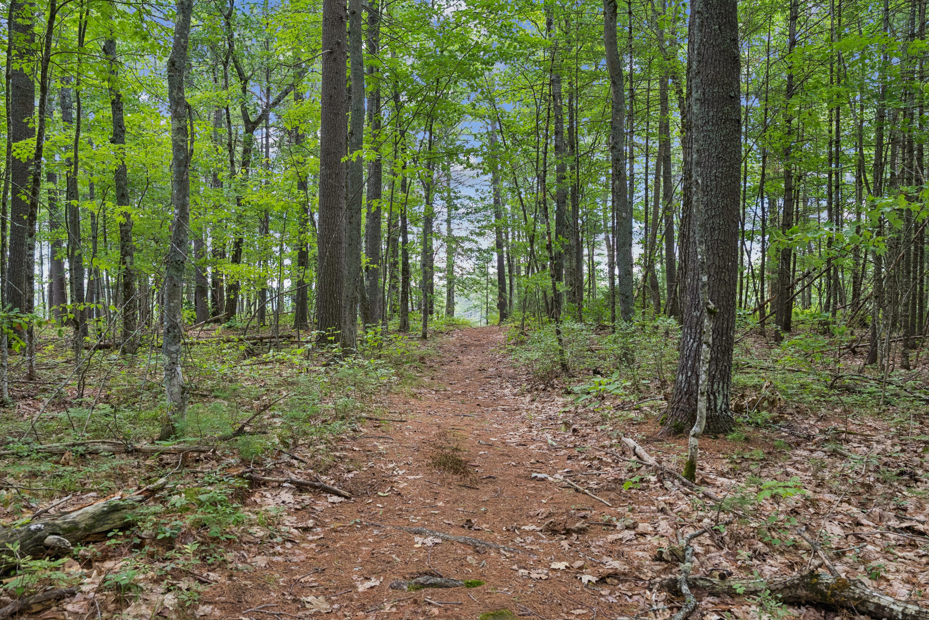850 Richville Road Standish, ME 04084 - Photo 52 of 65 DSC08916