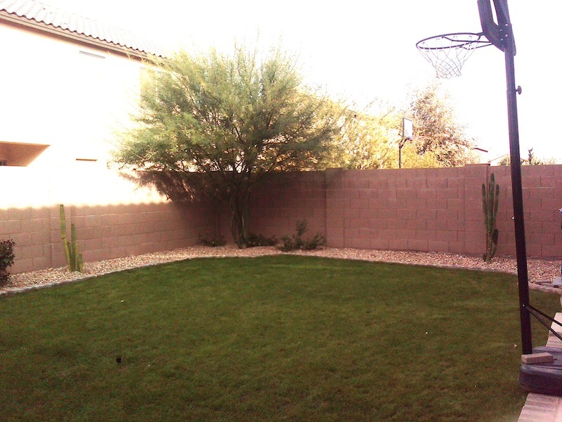 9392 West Cordes Road Tolleson, AZ 85353 - Photo 20 of 21 Backyard