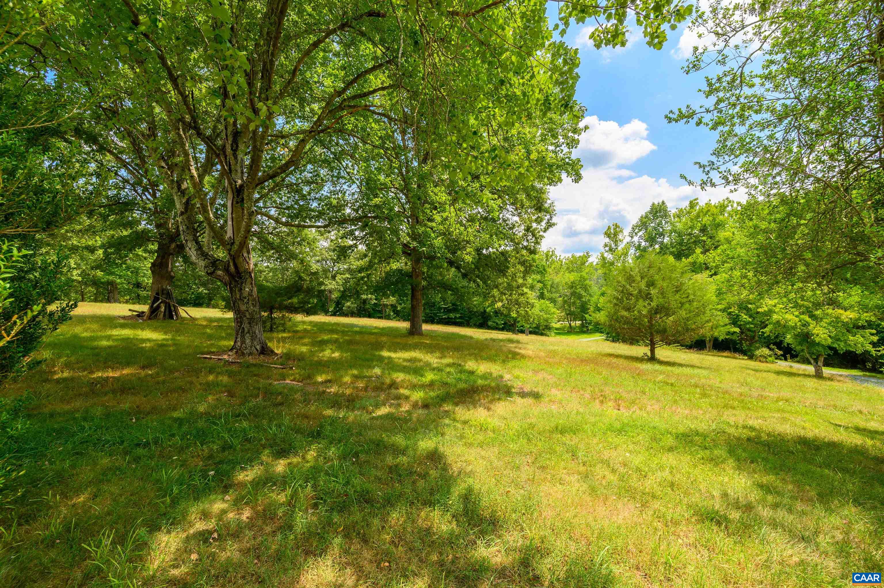 3072 Stony Point Road Charlottesville, VA 22911 - Photo 29 of 41 a view of a yard with a tree