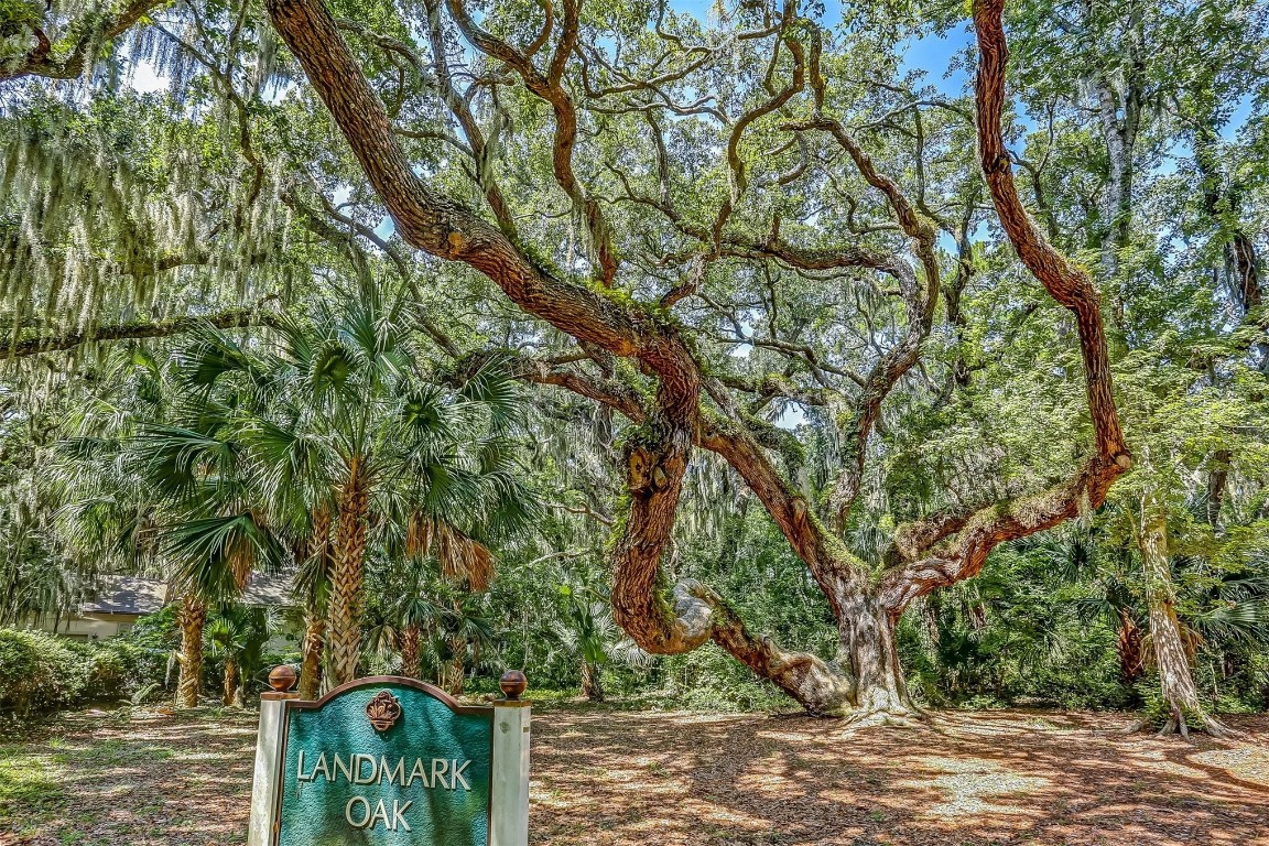 39 Beachwood Road Fernandina Beach, FL 32034 - Photo 49 of 49 Gallery Image 49