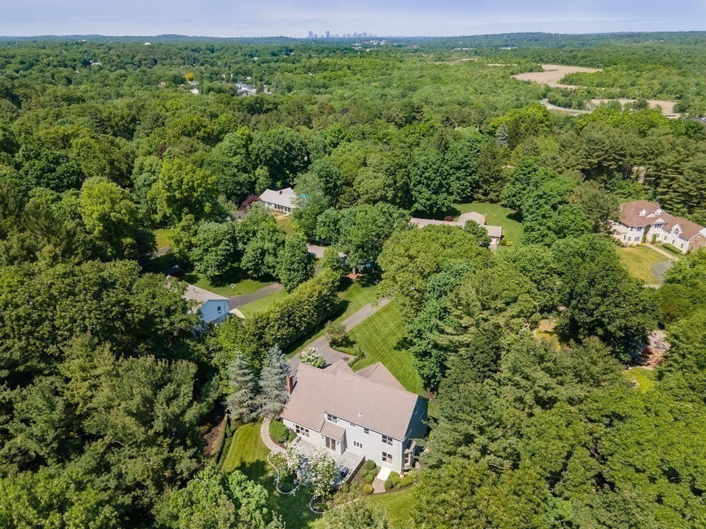 135 Whitewood Road Westwood, MA 02090 - Photo 36 of 39 Gallery Image 36