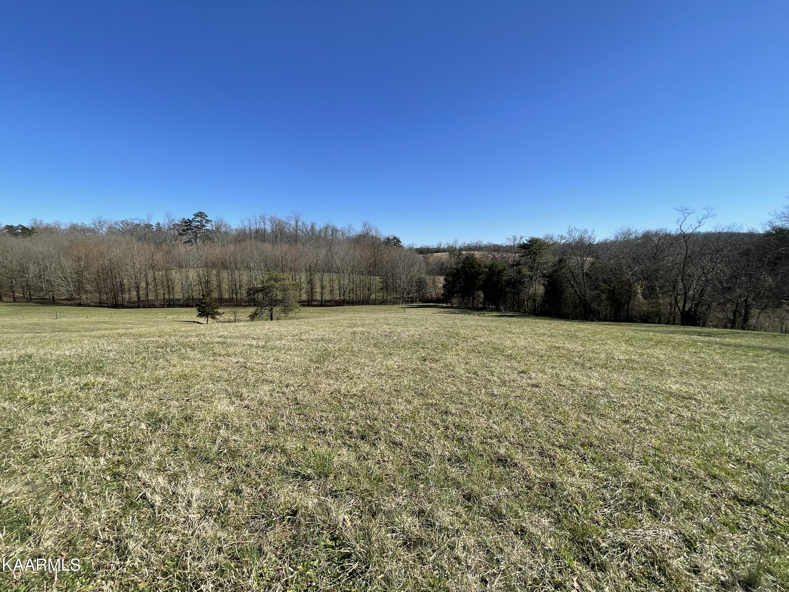 5280 Peterson Road Greenback, TN 37742 - Photo 50 of 60 Farm