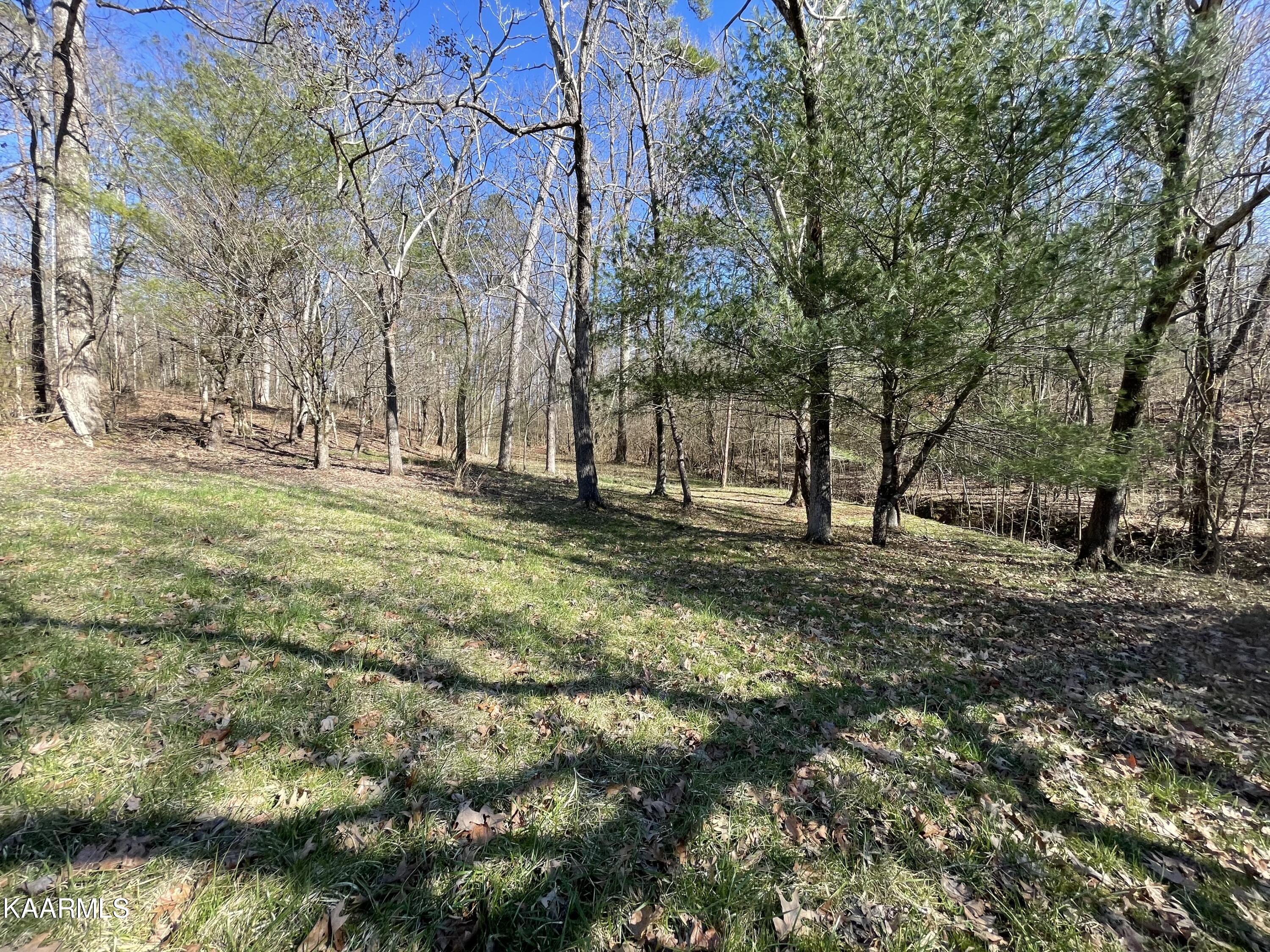 5280 Peterson Road Greenback, TN 37742 - Photo 54 of 60 Farm