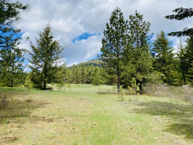 Xxx Old Dominion Road Colville, WA 99114 - Photo 4 of 25 Gallery Image 4