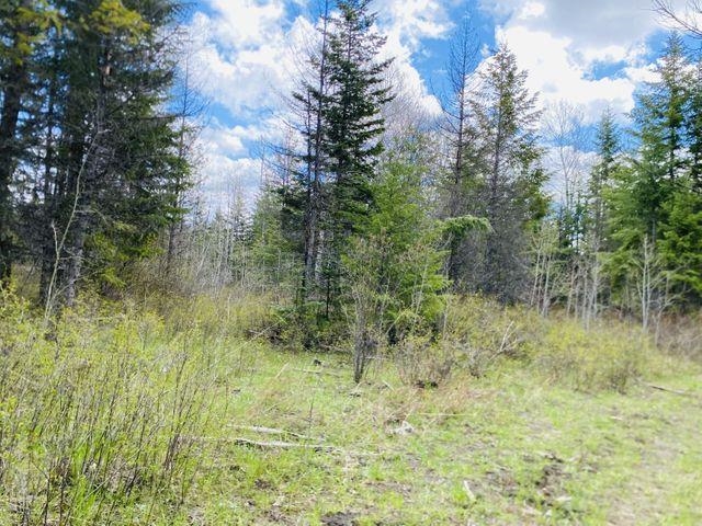 Xxx Old Dominion Road Colville, WA 99114 - Photo 5 of 25 Gallery Image 5