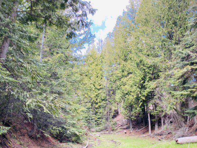 Xxx Old Dominion Road Colville, WA 99114 - Photo 7 of 25 Gallery Image 7
