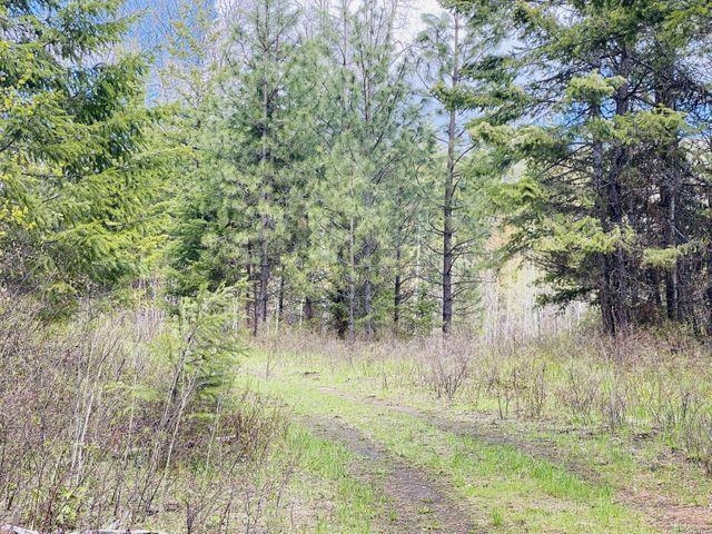 Xxx Old Dominion Road Colville, WA 99114 - Photo 8 of 25 Gallery Image 8