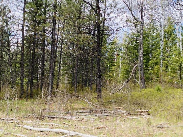Xxx Old Dominion Road Colville, WA 99114 - Photo 10 of 25 Gallery Image 10