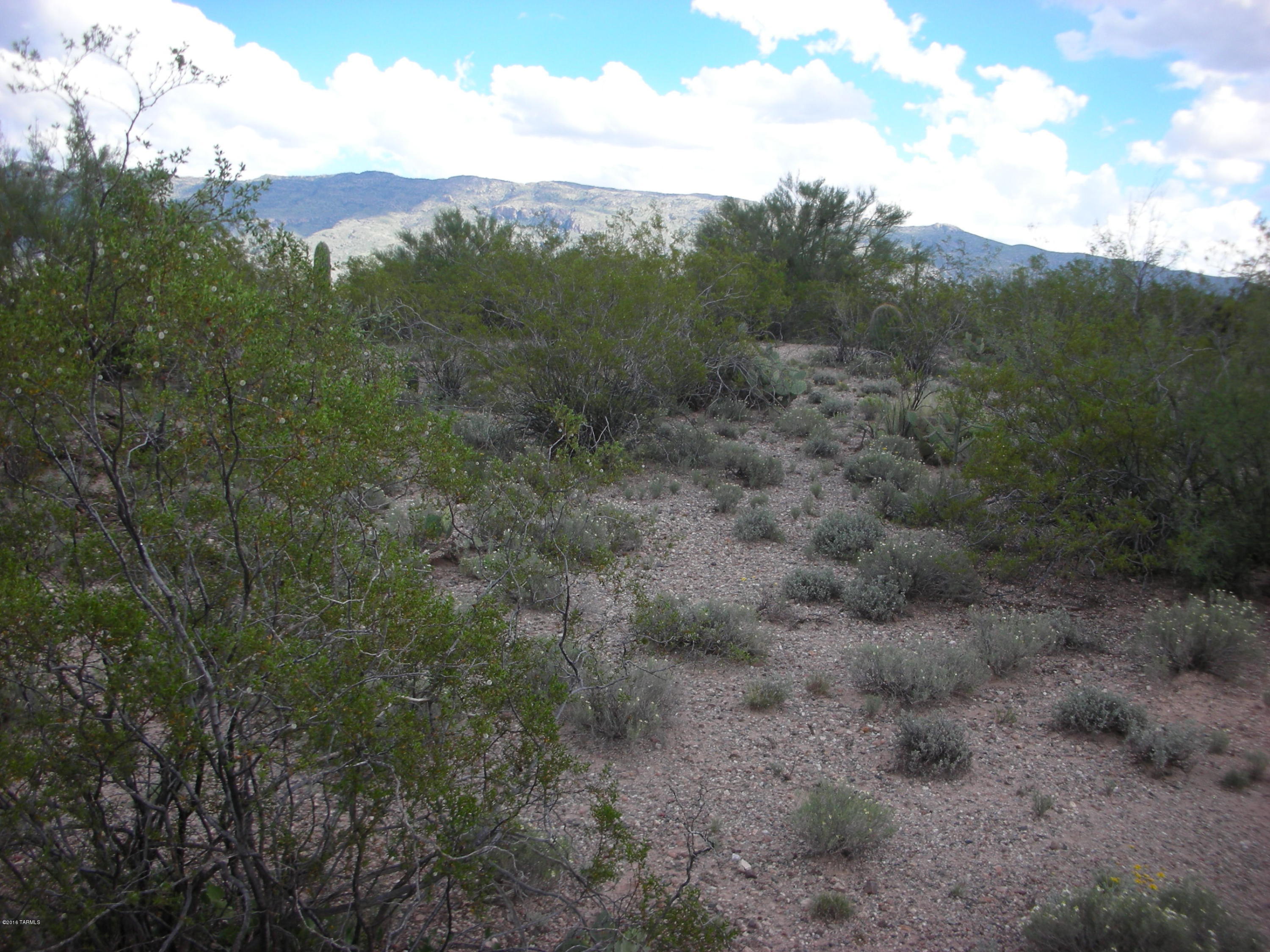 South Freeman Road Tucson, AZ 85748 - Photo 12 of 12