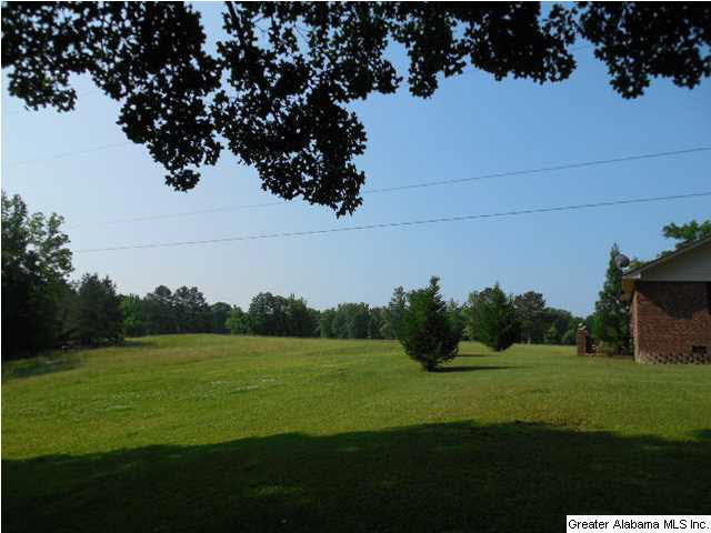 1720 Ross Lake Road Wellington, AL 36279 - Photo 5 of 32