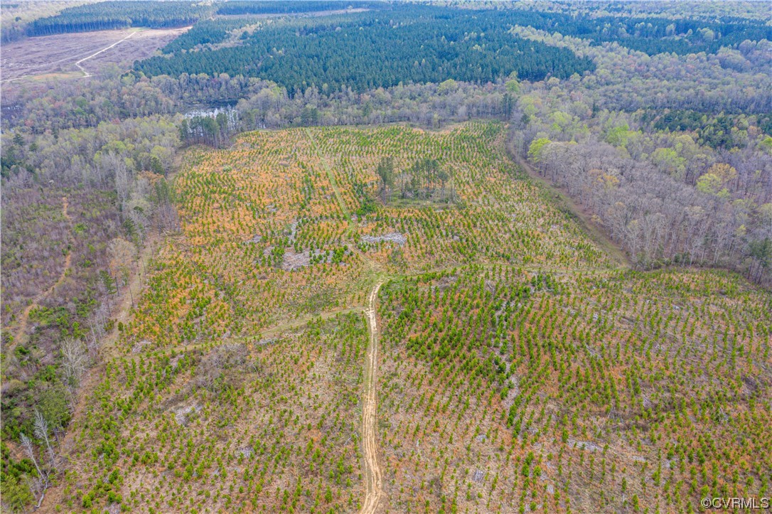 355 Clayville Road Powhatan, VA 23139 - Photo 7 of 10 Gallery Image 7