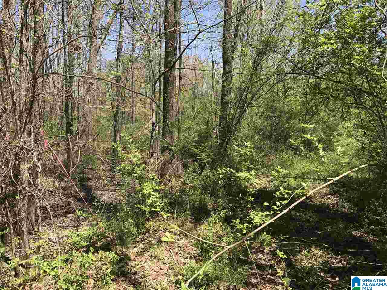 4133 Roy Webb Road, Unit 1 Jacksonville, AL 36265 - Photo 33 of 40