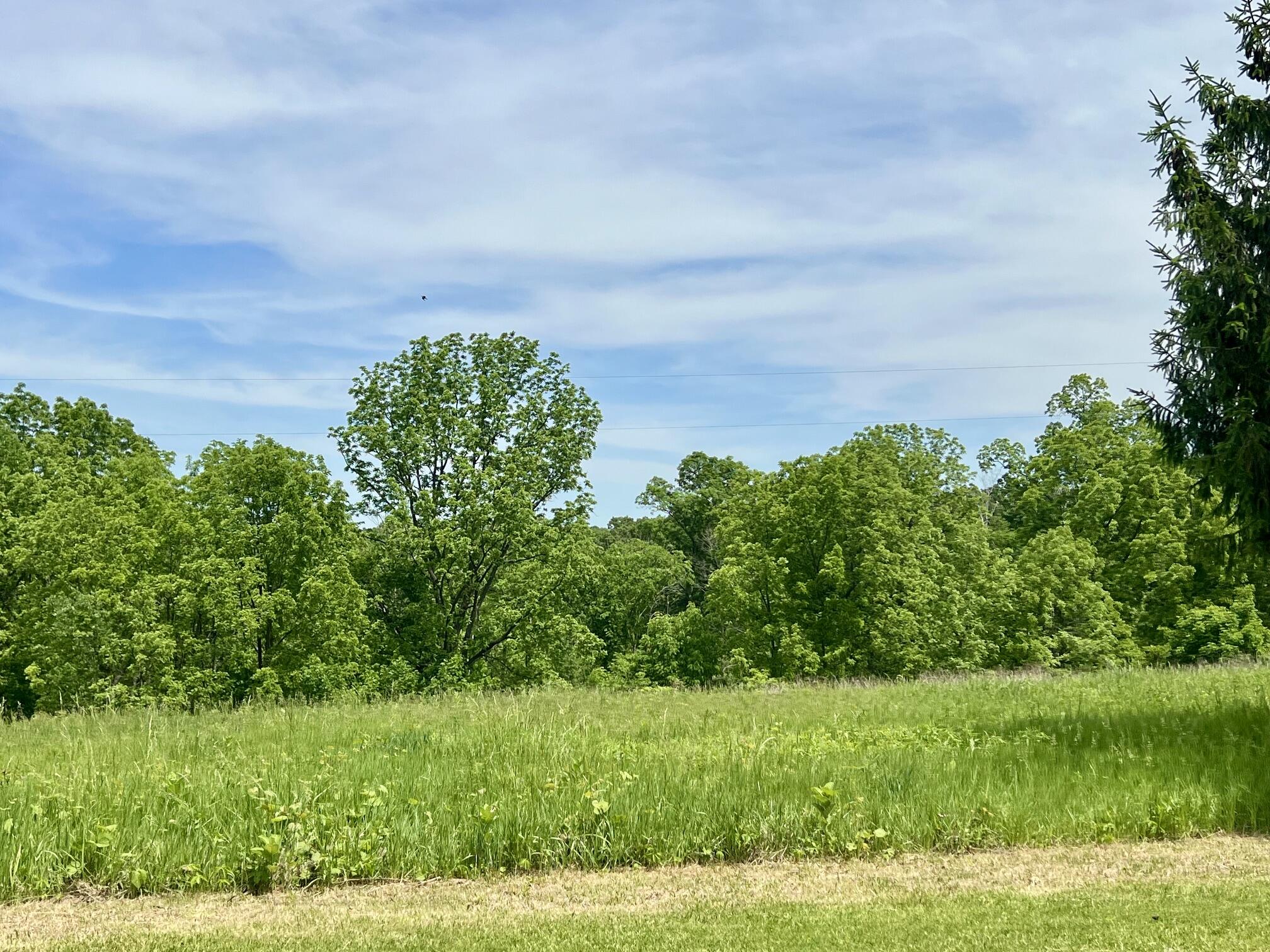 14026 Eagle Ridge Road Ferryville, WI 54628 - Photo 7 of 11 Eagle Ridge 5