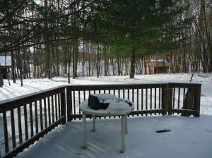 1085 Middle Leesville Road Bedford, IN 47421 - Photo 17 of 17 Gallery Image 17