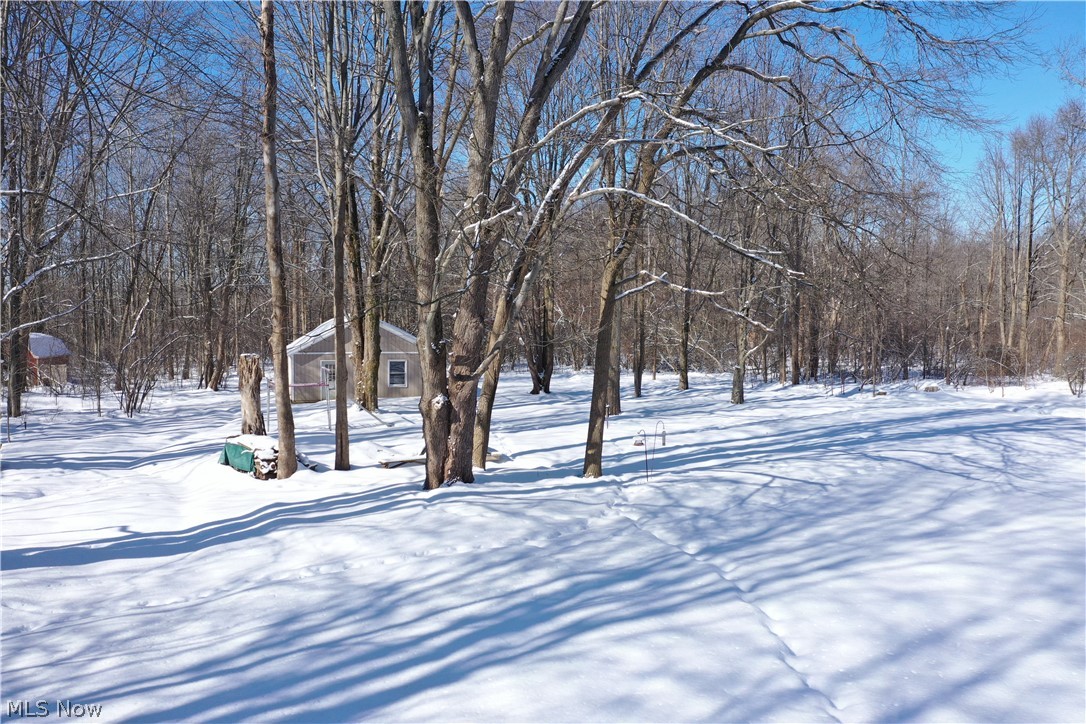 7380 Brakeman Road Painesville, OH 44077 - Photo 8 of 35