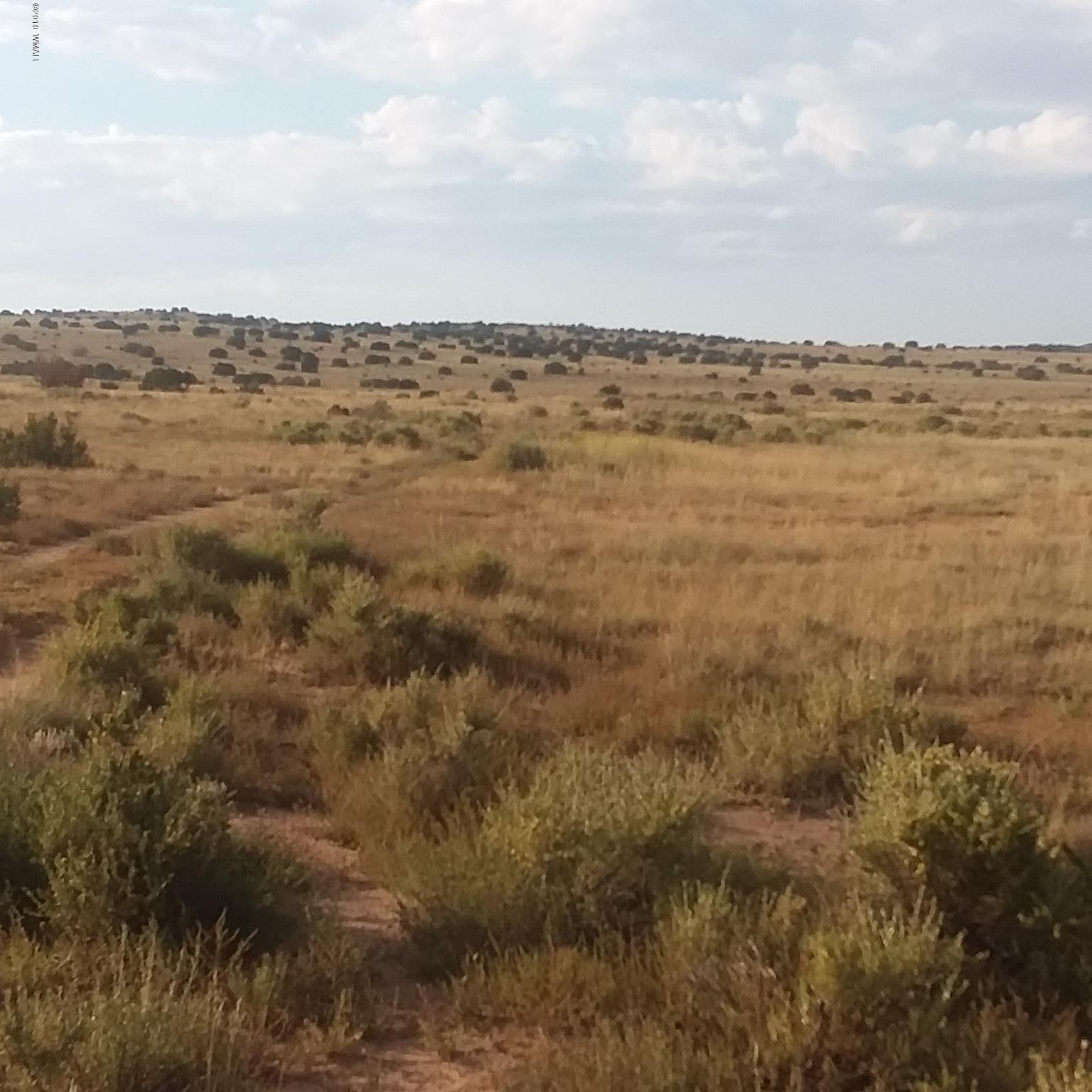 002 T13n R26e Sec 23 Concho, AZ 85924 - Photo 1 of 6