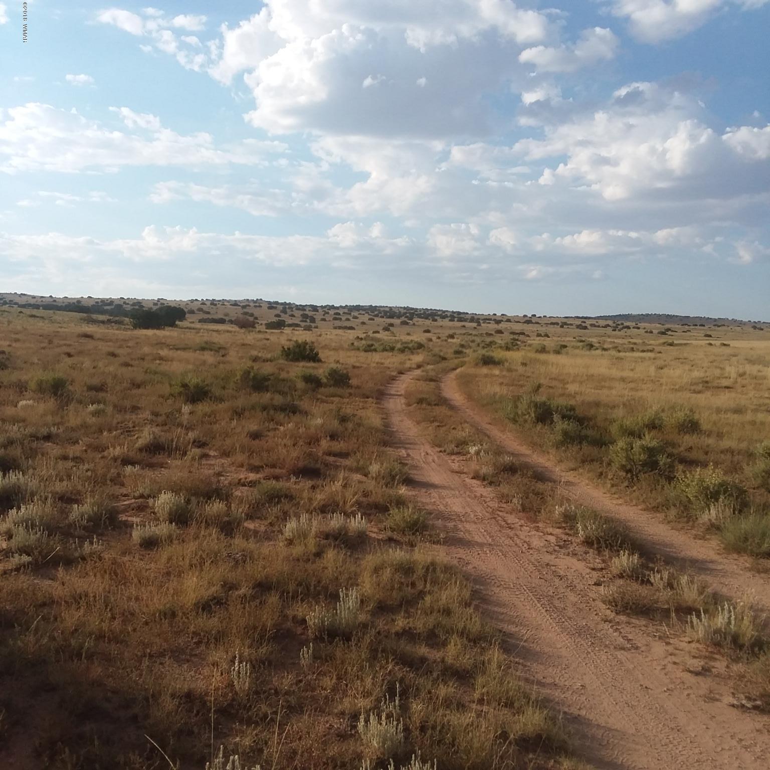 002 T13n R26e Sec 23 Concho, AZ 85924 - Photo 3 of 6