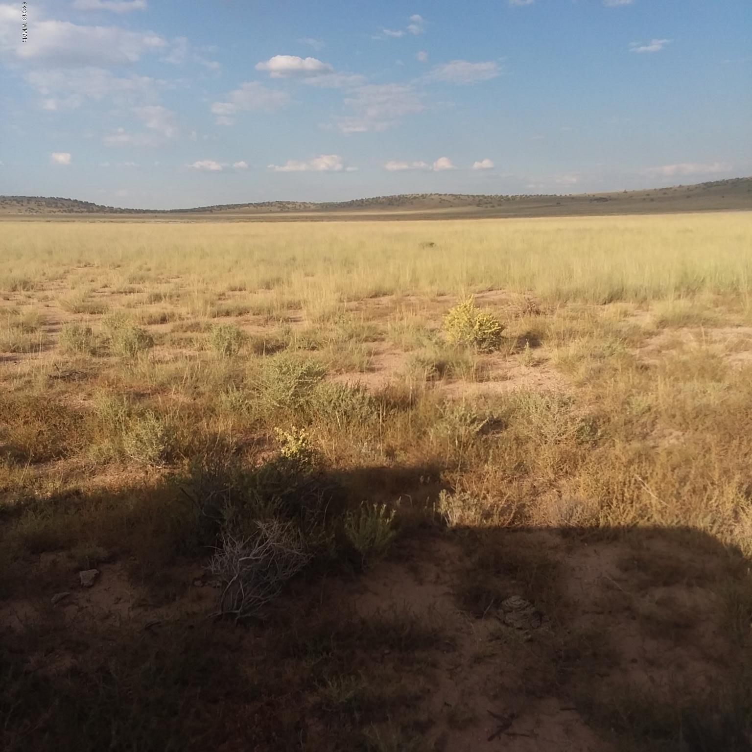 002 T13n R26e Sec 23 Concho, AZ 85924 - Photo 6 of 6