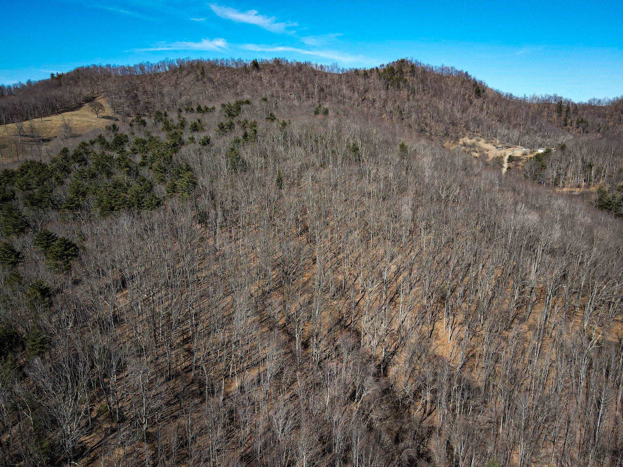 Tbd Mountain Field Road Pearisburg, VA 24134 - Photo 3 of 17 Gallery Image 3