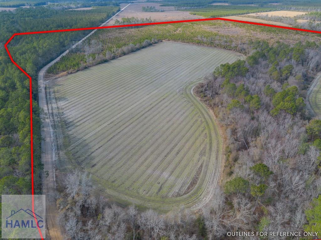 3 Reddish Road Screven, GA 31560 - Photo 12 of 55 Gallery Image 12