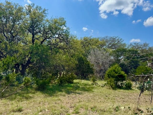 140 Spring Branch Drive Leakey, TX 78873 - Photo 21 of 23