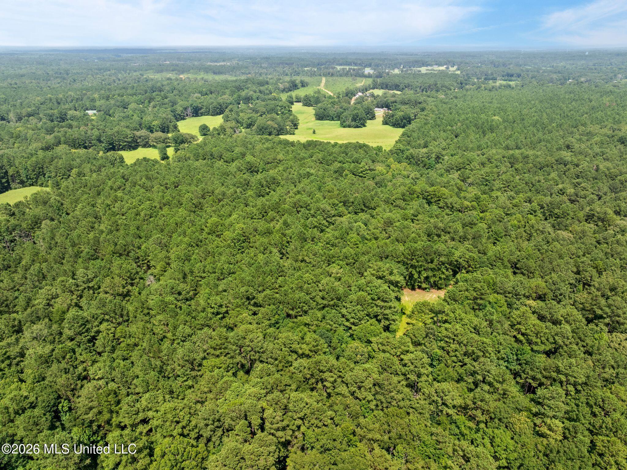 2111 Old Brookhaven Road Summit, MS 39666 - Photo 96 of 102 2111_Old_Brookhaven_Rd-122