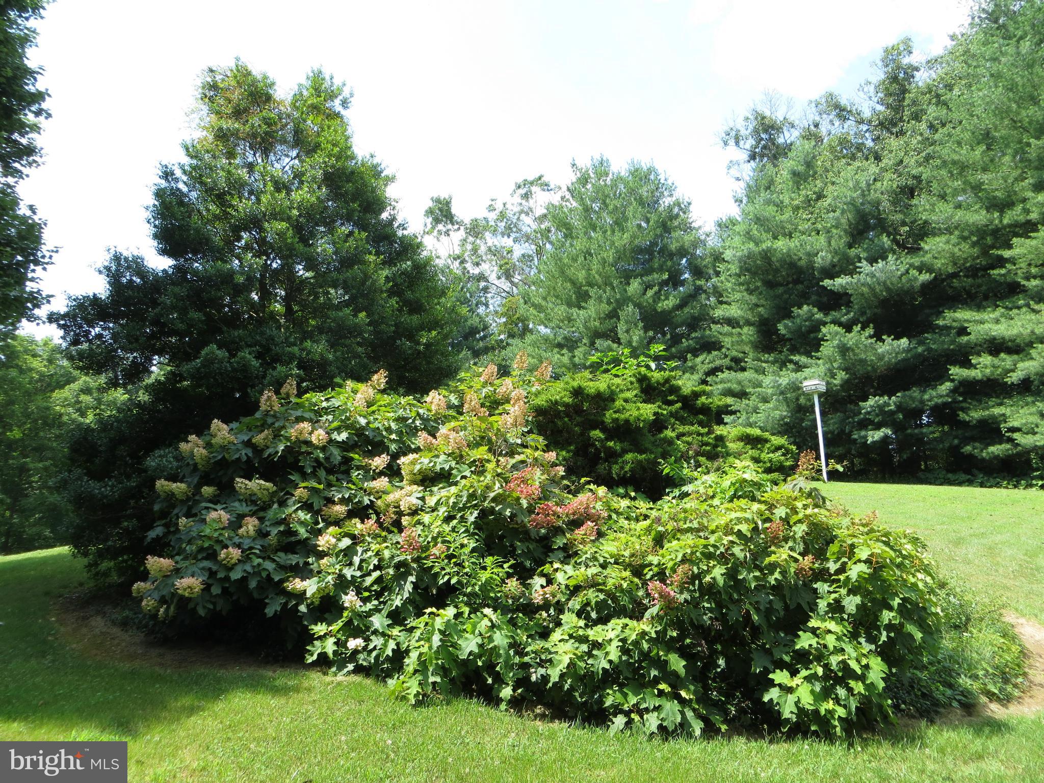 23462 Potts Mill Road Middleburg, VA 20117 - Photo 16 of 20 View