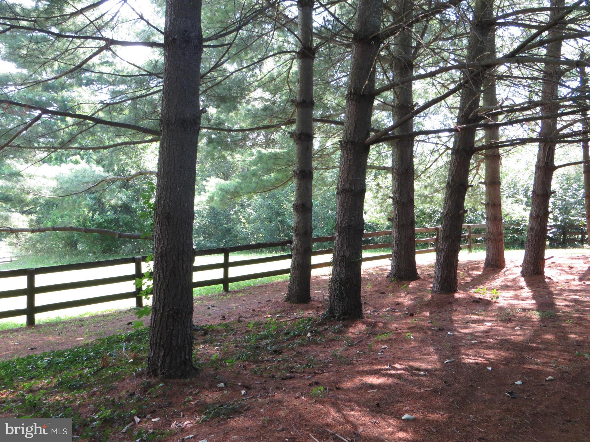 23462 Potts Mill Road Middleburg, VA 20117 - Photo 19 of 20 View