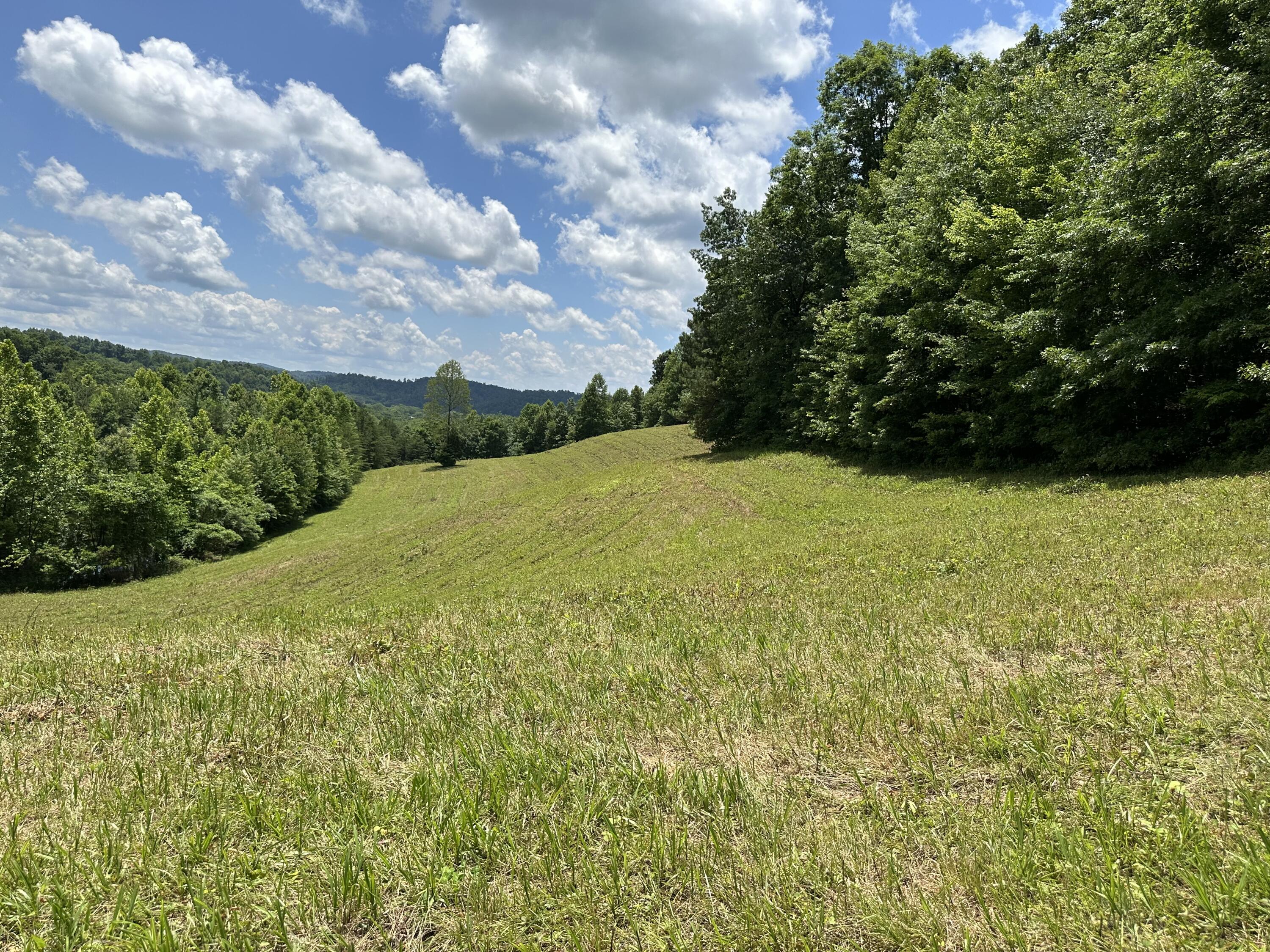 10 Elbert Shepherd Road London, KY 40741 - Photo 23 of 40 IMG_6358