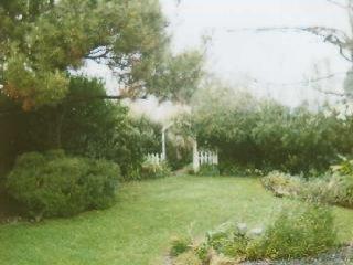 1916 Garrett Court Santa Rosa, CA 95403 - Photo 3 of 3 a view of yard with green space