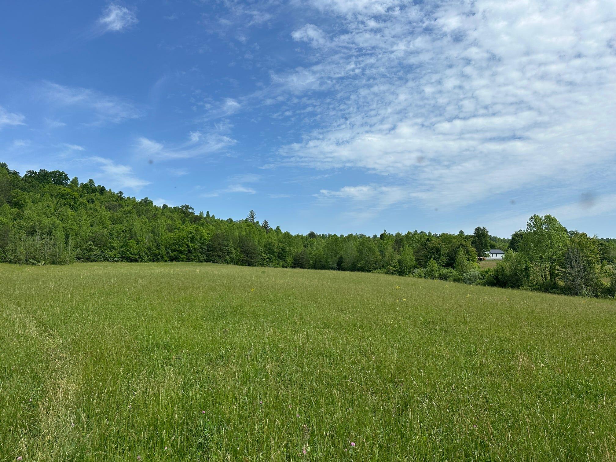 1802 River Road Williamsburg, KY 40769 - Photo 1 of 59 Field