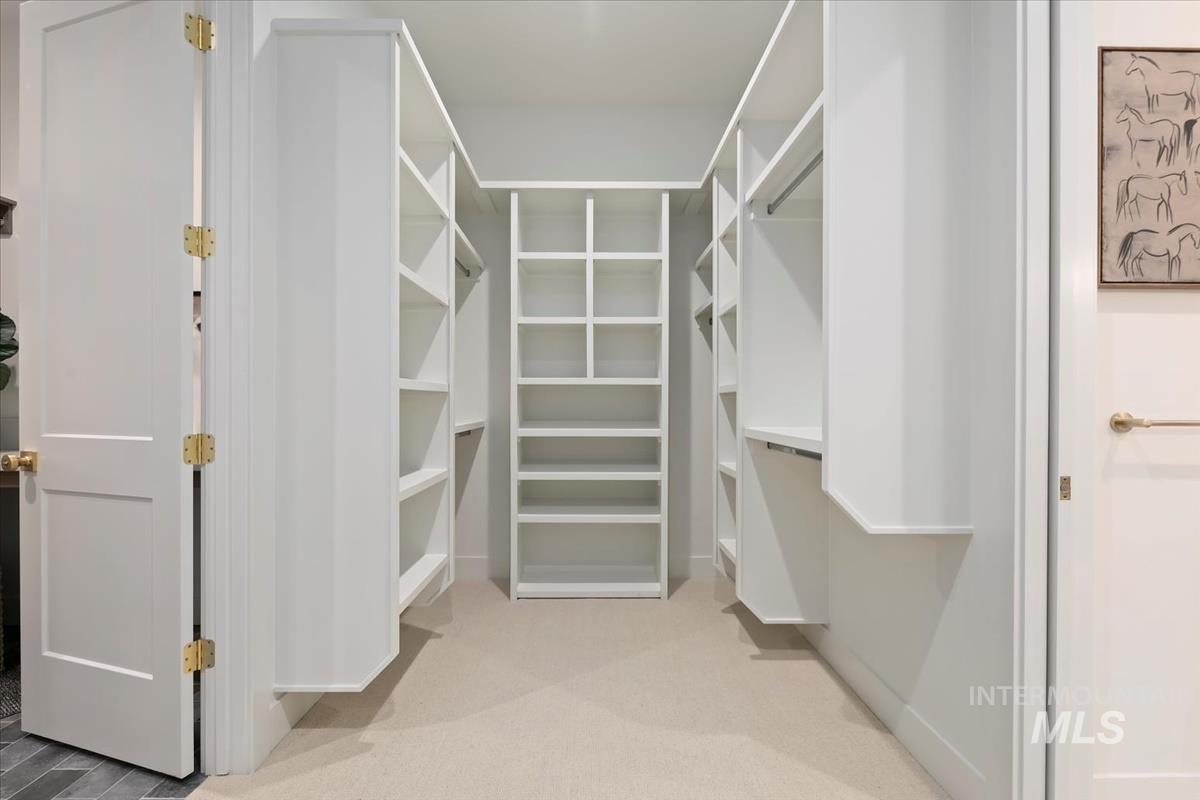 196 North Timber Wolf Place Eagle, ID 83616 - Photo 28 of 50 Spacious closet featuring light carpet