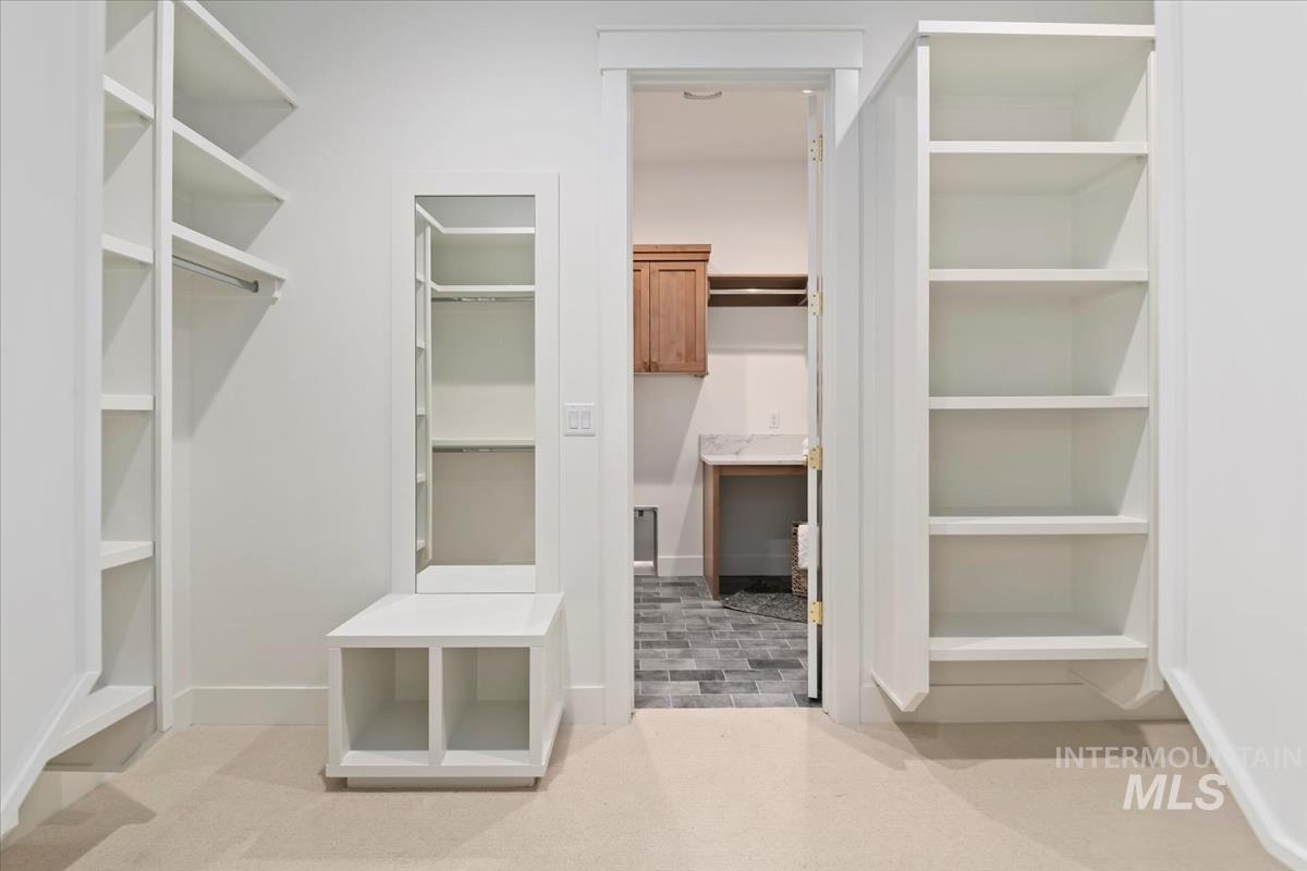 196 North Timber Wolf Place Eagle, ID 83616 - Photo 29 of 50 Spacious closet featuring light colored carpet