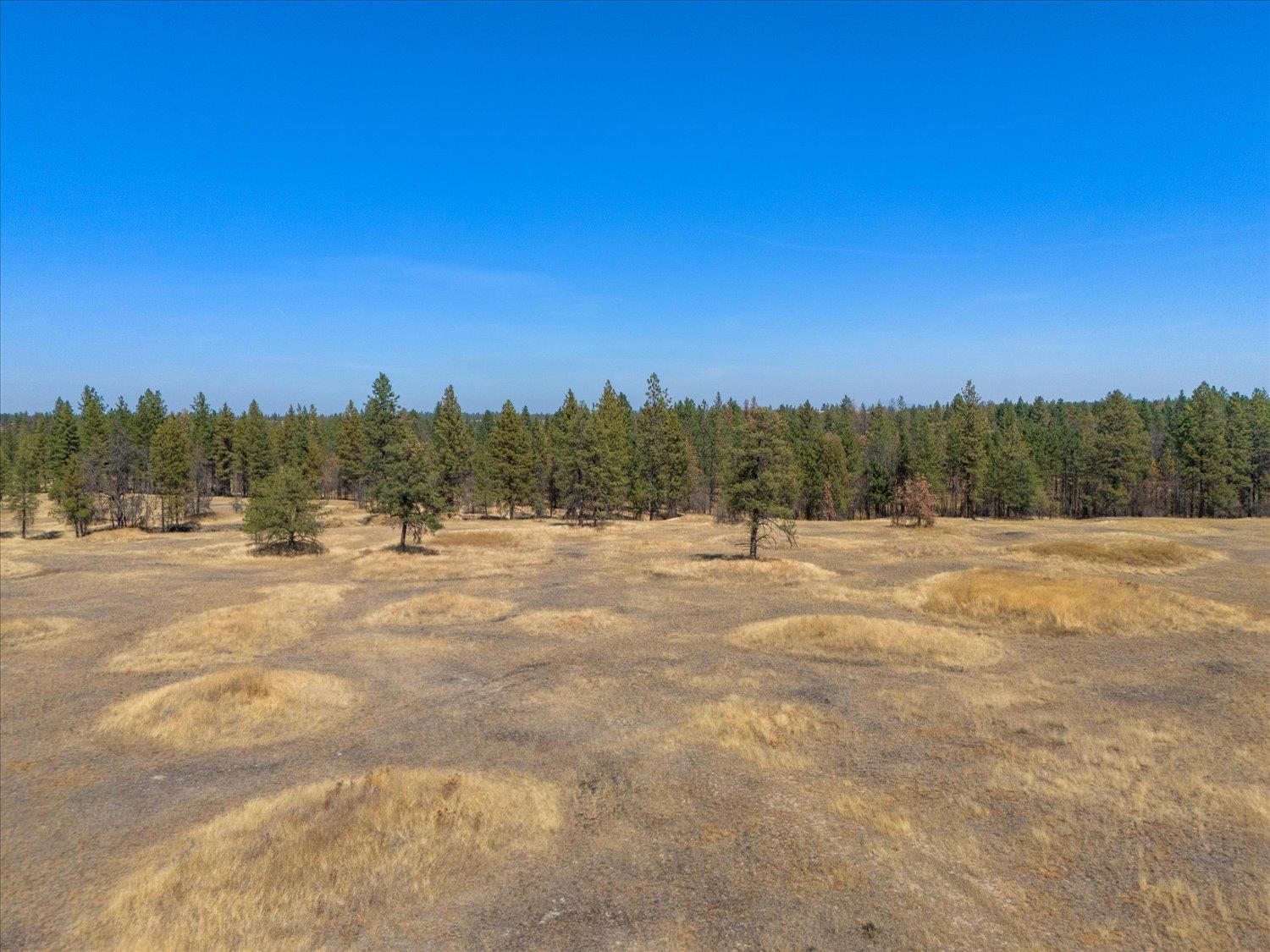 36377 South Bootstrap Lane Cheney, WA 99004 - Photo 6 of 10